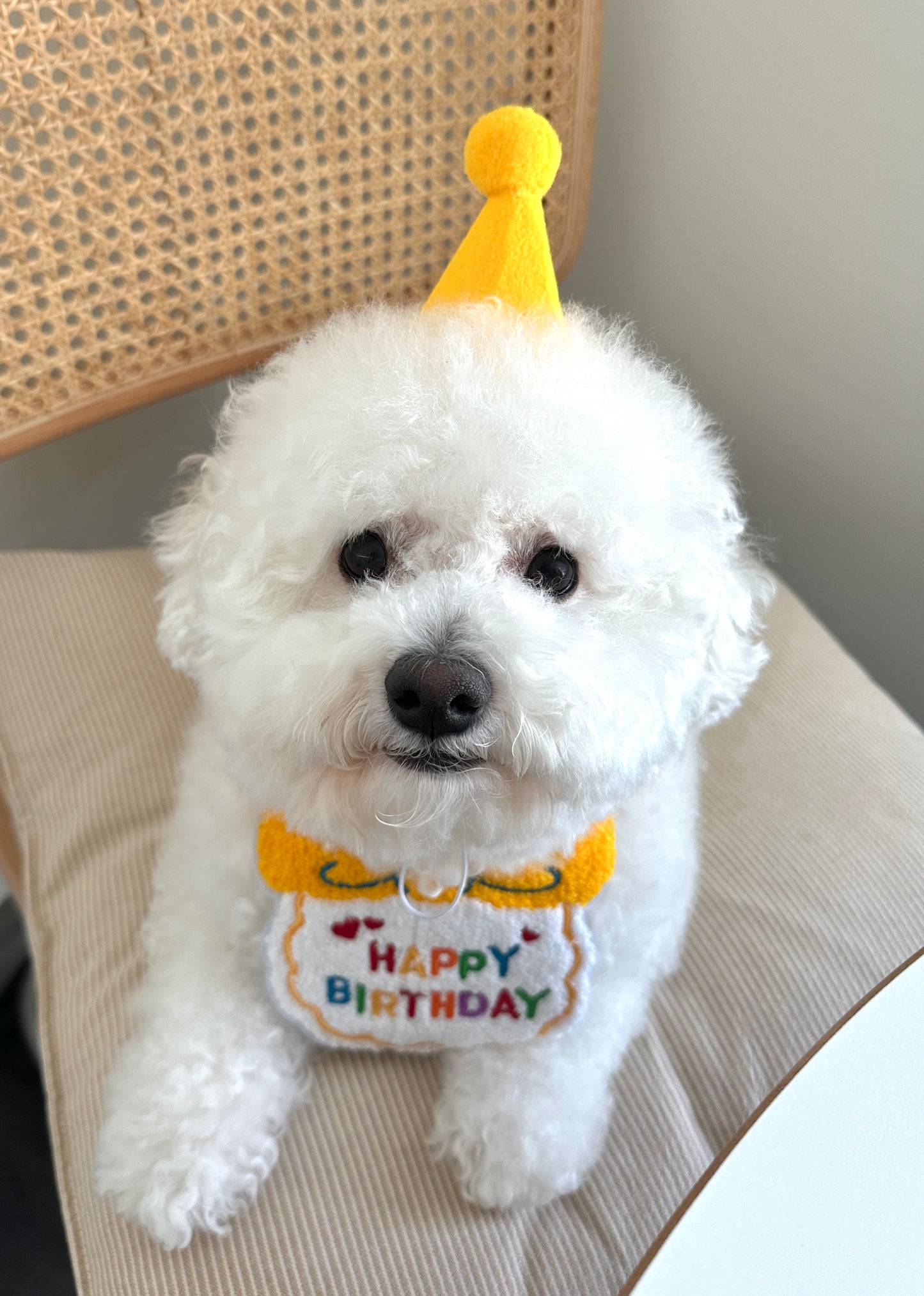 Birthday Party Hat and Bandana